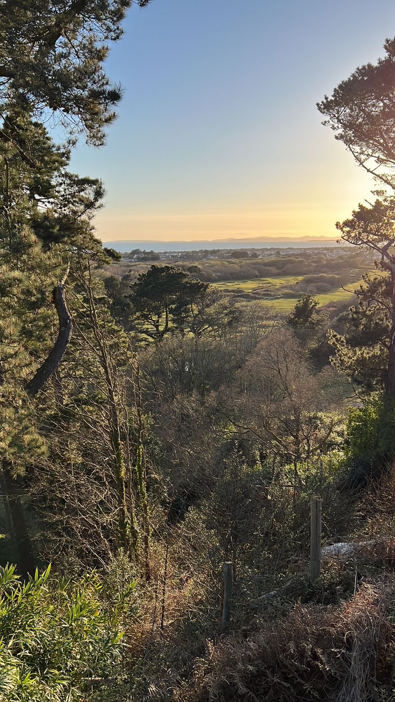 Garden - click for photo gallery
